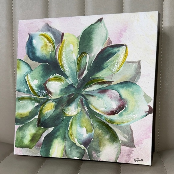 Tre Sorelle Studios "Succulent Watercolor" Painting Print 8" Stretched Canvas GU - Picture 1 of 14